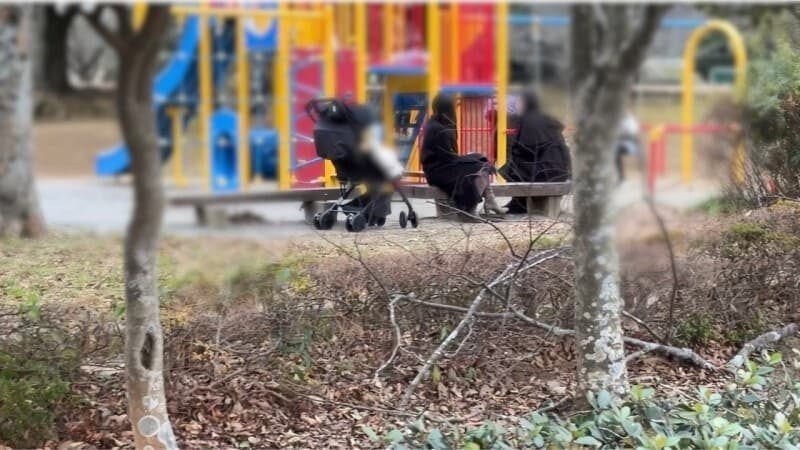 FC2-PPV-4821039: Influencer's Wife Flirts in Park, Taken in Car